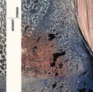 Modest - Friend in der Gruppe Övrigt / bei Bengans Skivbutik AB (4150695)