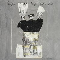 Barzin - Voyeurs In The Dark in der Gruppe VINYL / Bestseller bei Bengans Skivbutik AB (4150708)