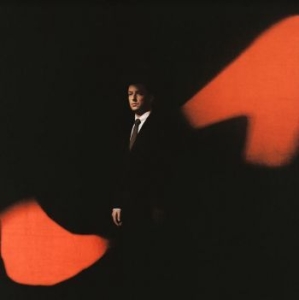 Totally Enormous Extinct Dinosaurs - When The Lights Go (Red Marble) in der Gruppe VINYL / Pop bei Bengans Skivbutik AB (4150714)