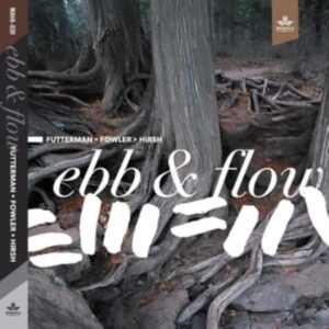Futterman Joel Chad Fowler And Stev - Ebb & Flow in der Gruppe CD / Jazz,Övrigt bei Bengans Skivbutik AB (4150742)