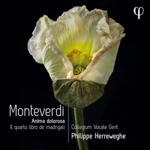 Monteverdi Claudio - Il Quarto Libro De Madrigali in der Gruppe Externt_Lager / Naxoslager bei Bengans Skivbutik AB (4151150)