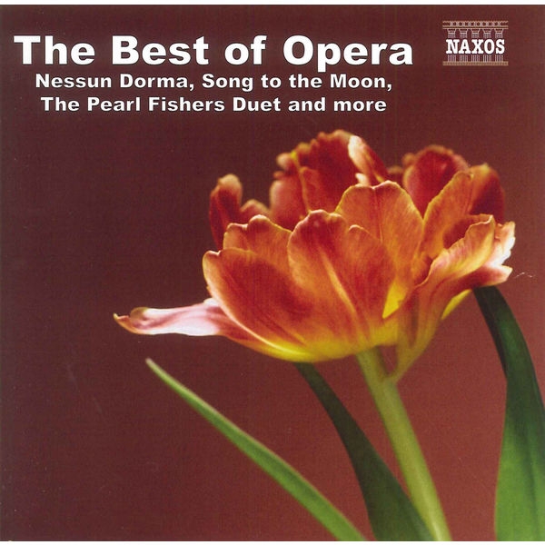 Various - The Best Of Opera in der Gruppe CD / Bestseller bei Bengans Skivbutik AB (4151219)