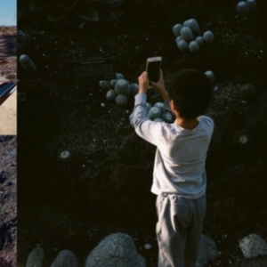 Mega Bog - Life, And Another in der Gruppe CD bei Bengans Skivbutik AB (4152321)