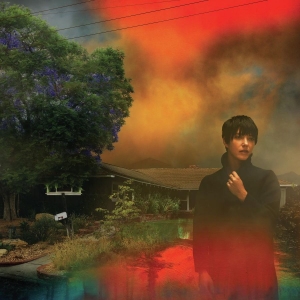 Sharon Van Etten - We've Been Going About This All Wro in der Gruppe VINYL / Pop-Rock bei Bengans Skivbutik AB (4153307)