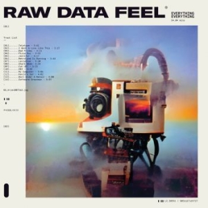 Everything Everything - Raw Data Feel (Clear) in der Gruppe VINYL / Pop bei Bengans Skivbutik AB (4154326)