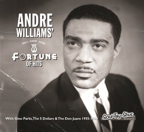 Williams Andre - Fortune Of Hits in der Gruppe CD / Bestseller bei Bengans Skivbutik AB (4154372)