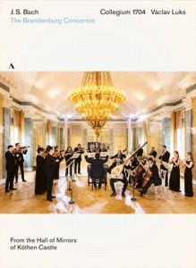 Bach Johann Sebastian - The Brandenburg Concertos (Dvd) in der Gruppe Externt_Lager / Naxoslager bei Bengans Skivbutik AB (4154505)