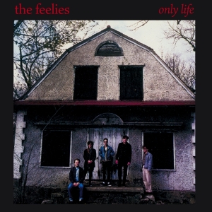Feelies - Only Life in der Gruppe CD / Pop-Rock bei Bengans Skivbutik AB (4154537)