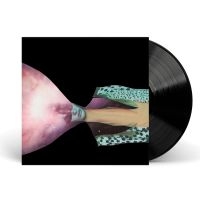 Painted Shield - Painted Shield 2 in der Gruppe VINYL / Pop-Rock bei Bengans Skivbutik AB (4156286)