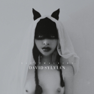 David Sylvian - Sleepwalkers in der Gruppe VINYL / Pop-Rock bei Bengans Skivbutik AB (4156299)