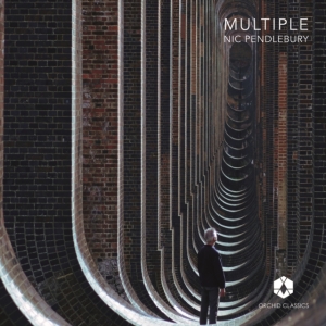 Nic Pendlebury - Multiple in der Gruppe Externt_Lager / Naxoslager bei Bengans Skivbutik AB (4156354)
