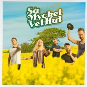 Vet Hut - Så Mycket Vet Hut in der Gruppe CD / Rock bei Bengans Skivbutik AB (4157446)