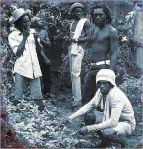Knowledge - Straight And Narrow in der Gruppe CD / Reggae bei Bengans Skivbutik AB (4158836)