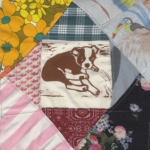 Mapache - Roscoe's Dream in der Gruppe VINYL / Pop-Rock bei Bengans Skivbutik AB (4160658)