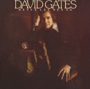 Gates David - Never Let Her Go in der Gruppe CD bei Bengans Skivbutik AB (4160836)
