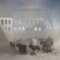 Shearwater - The Great Awakening in der Gruppe VINYL / Pop-Rock bei Bengans Skivbutik AB (4160866)