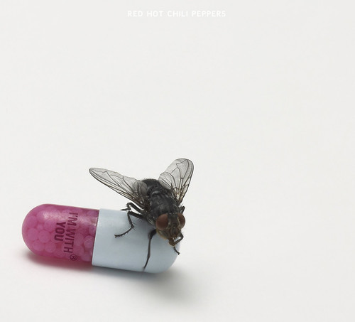 Red Hot Chili Peppers - I'm with you - US Import in der Gruppe VINYL / Rock bei Bengans Skivbutik AB (4161033)