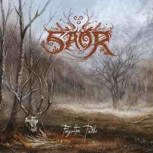 Saor - Forgotten Paths in der Gruppe CD / Hårdrock/ Heavy metal bei Bengans Skivbutik AB (4161262)