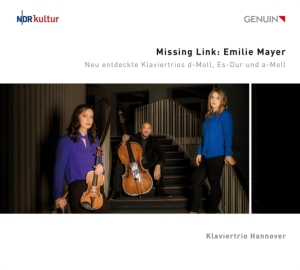 Mayer Emilie - Missing Link in der Gruppe Externt_Lager / Naxoslager bei Bengans Skivbutik AB (4162282)