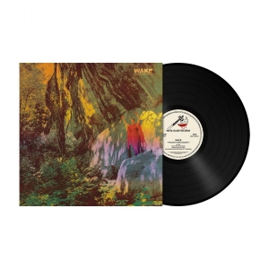 Wake - Thought Form Descent (Black Vinyl L in der Gruppe VINYL / Hårdrock bei Bengans Skivbutik AB (4162415)