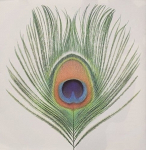 Xtc - Apple Venus (200 G.) in der Gruppe VINYL / Pop-Rock bei Bengans Skivbutik AB (4162703)