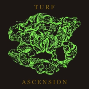 Bubblemath - Turf Ascension in der Gruppe CD bei Bengans Skivbutik AB (4162769)