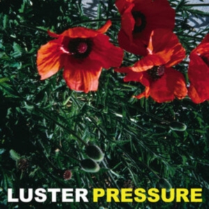 Luster - Pressure in der Gruppe VINYL / Dansk Musik,Pop-Rock bei Bengans Skivbutik AB (4162848)