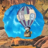 Pictures Of Vernon - Bug in der Gruppe VINYL / Pop-Rock bei Bengans Skivbutik AB (4163015)