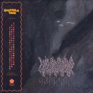 Mumble Tide - Everything Ugly (Orange) in der Gruppe VINYL / Pop bei Bengans Skivbutik AB (4163664)