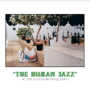 Twïns - The Human Jazz in der Gruppe VINYL / Pop-Rock bei Bengans Skivbutik AB (4163667)