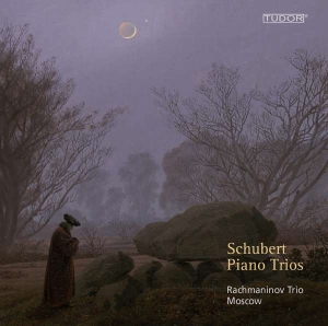 Schubert Franz - Piano Trios D898, D28, D929, D897 in der Gruppe Externt_Lager / Naxoslager bei Bengans Skivbutik AB (4164092)