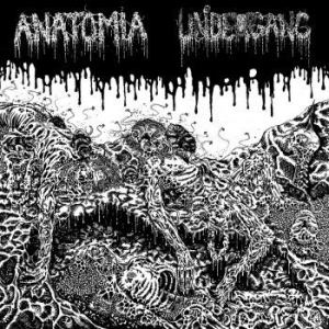 Undergang / Anatomia - Split Lp in der Gruppe VINYL / Rock bei Bengans Skivbutik AB (4164533)
