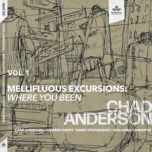 Anderson Chad - Mellifluous Excursions Vol. 1 - Whe in der Gruppe CD / Jazz bei Bengans Skivbutik AB (4164558)