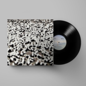 Stella Donnelly - Flood in der Gruppe VINYL / Pop-Rock bei Bengans Skivbutik AB (4164583)