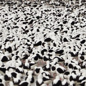 Stella Donnelly - Flood in der Gruppe CD / Rock bei Bengans Skivbutik AB (4164586)