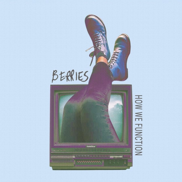 Berries - How We Function in der Gruppe CD / Rock bei Bengans Skivbutik AB (4164988)
