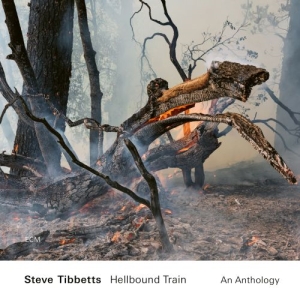 Tibbetts Steve - Hellbound Train - An Anthology (2Cd in der Gruppe CD / Jazz bei Bengans Skivbutik AB (4166066)