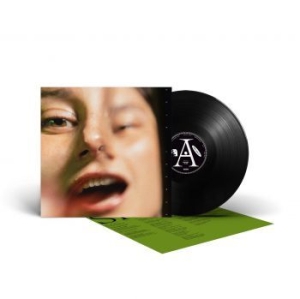 Pencey Sloe - Neglect (Black Vinyl Lp) in der Gruppe VINYL / Pop bei Bengans Skivbutik AB (4166928)