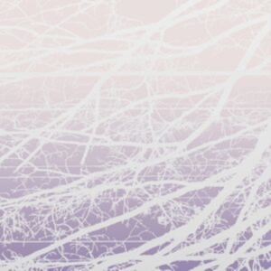 Bertucci Lea - Meta Aether/Resonant Field in der Gruppe VINYL / Pop-Rock bei Bengans Skivbutik AB (4167107)
