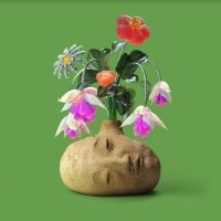 Elephant Gym - Dreams in der Gruppe CD / Pop-Rock bei Bengans Skivbutik AB (4167146)