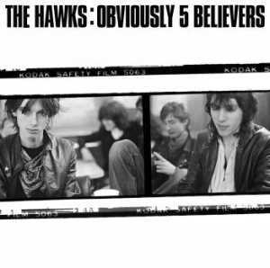 Hawks - Obviously 5 Believers in der Gruppe CD / Rock bei Bengans Skivbutik AB (4168847)