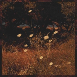 Szun Waves - Earth Patterns in der Gruppe CD bei Bengans Skivbutik AB (4169048)