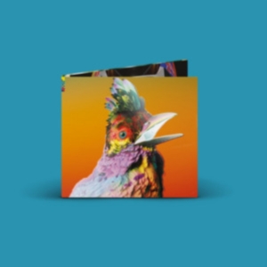 Flume - Palaces in der Gruppe CD bei Bengans Skivbutik AB (4169176)