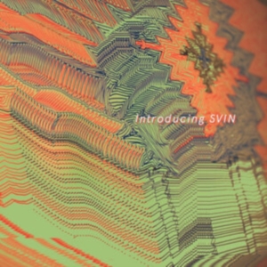 Svin - Introducing Svin (Orange Vinyl Lp) in der Gruppe VINYL / Dansk Musik,Pop-Rock bei Bengans Skivbutik AB (4169198)