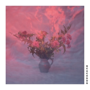 Beachdog - Beachdog in der Gruppe VINYL / Pop-Rock bei Bengans Skivbutik AB (4169641)