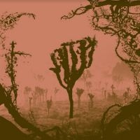 Melting Palms - Noise Between The Shades in der Gruppe VINYL / Pop-Rock bei Bengans Skivbutik AB (4170560)