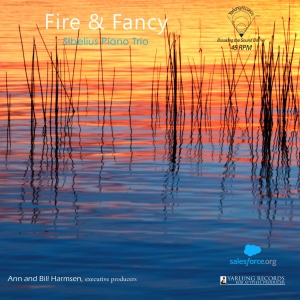 David Lefkowitz Diego Schissi - Fire & Fancy (Vinyl) in der Gruppe Externt_Lager / Naxoslager bei Bengans Skivbutik AB (4170769)