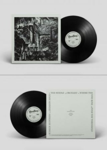 Necromancers The - Where The Void Rose (Black Vinyl Lp in der Gruppe VINYL bei Bengans Skivbutik AB (4173896)