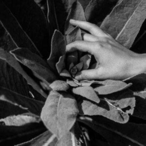 Nanook Of The North - Heide in der Gruppe VINYL / Pop-Rock bei Bengans Skivbutik AB (4173995)