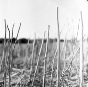 Recondite - On Acid (2022) in der Gruppe VINYL / Dans/Techno bei Bengans Skivbutik AB (4174014)